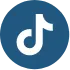 TikTok icon