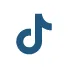 TikTok icon