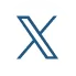 X icon