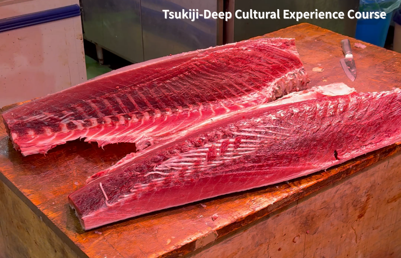 “Katsuo Shokudo