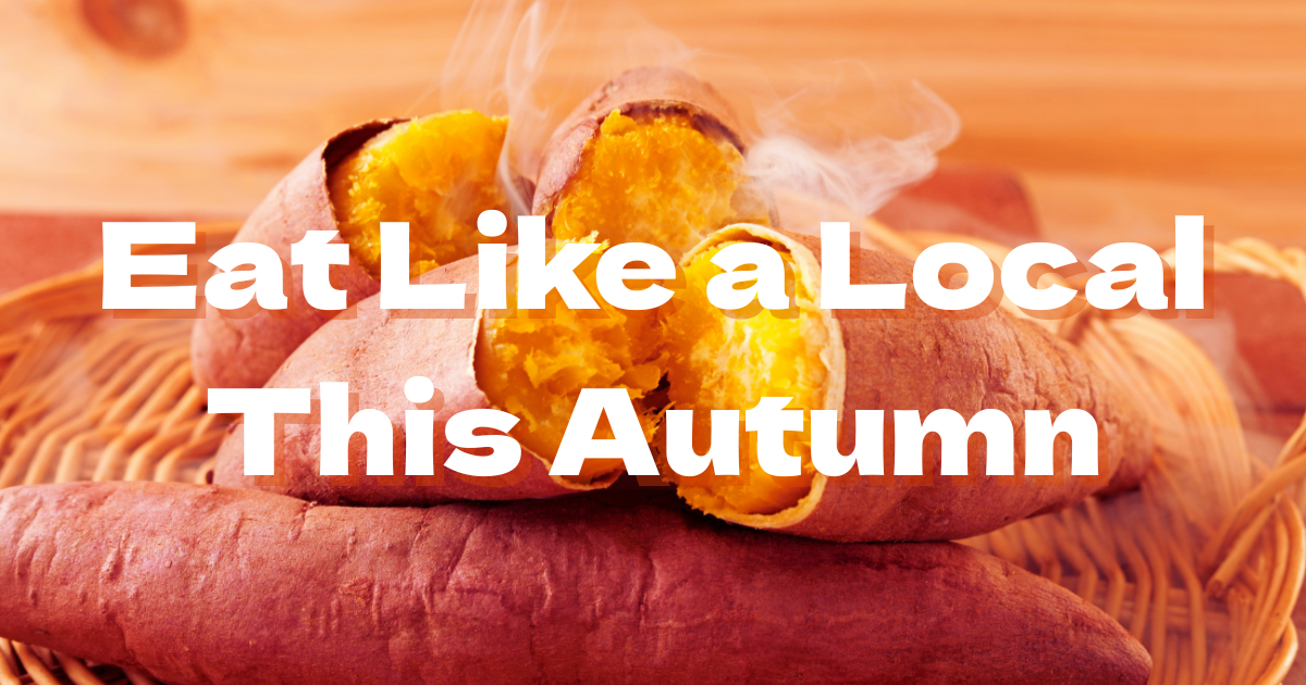 Autumn in Tokyo: Where to Eat, What to Try, and Why You’ll Never Forget It